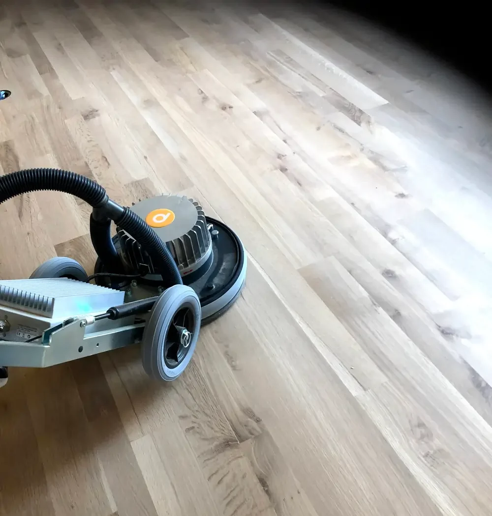 IMG_6001-e1761000685735